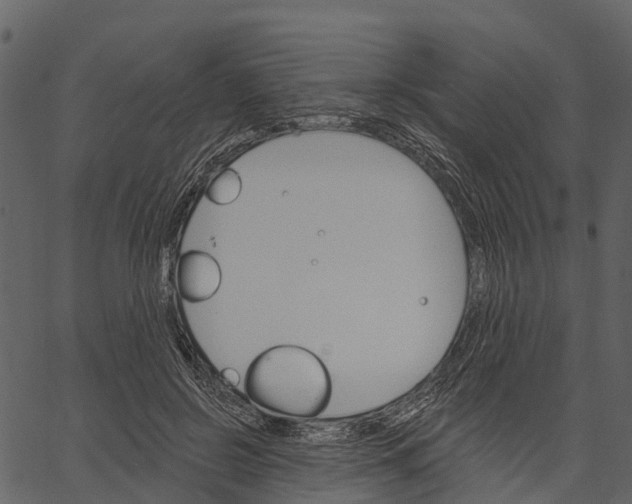 X0000062640550200601111128