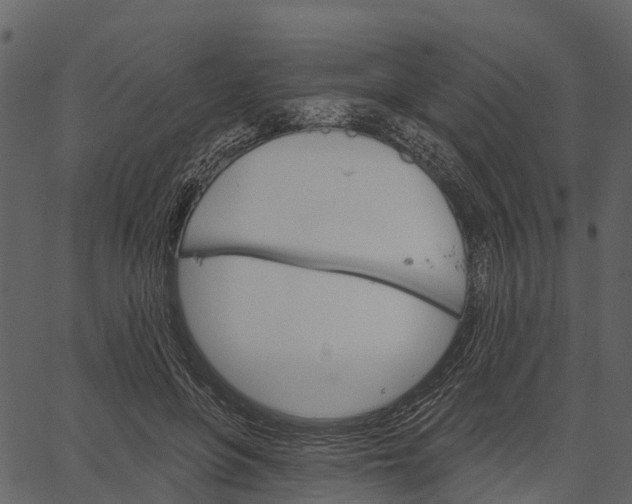 X0000062640551200601111128