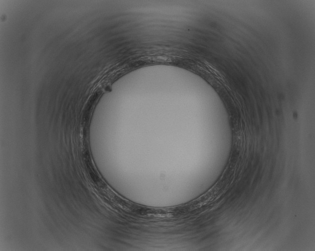 X0000062640552200601111128