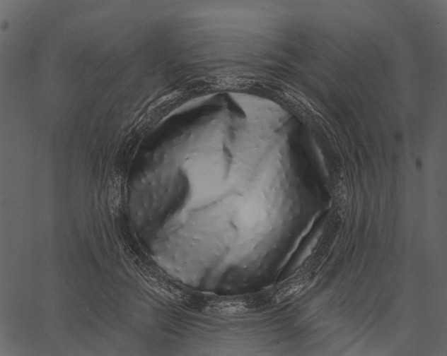 X0000062640554200601111128