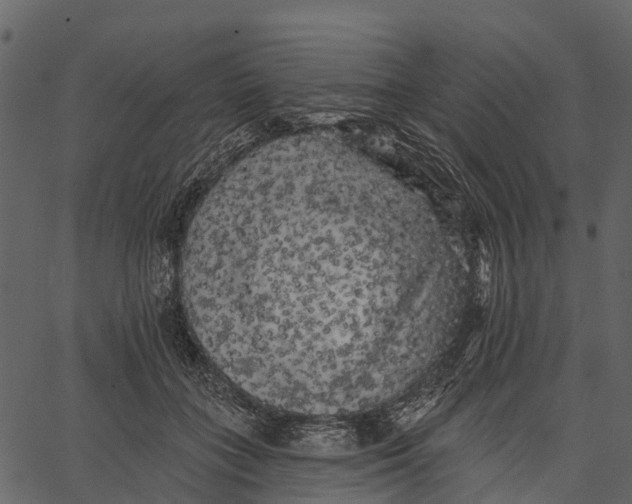 X0000062640555200601111128