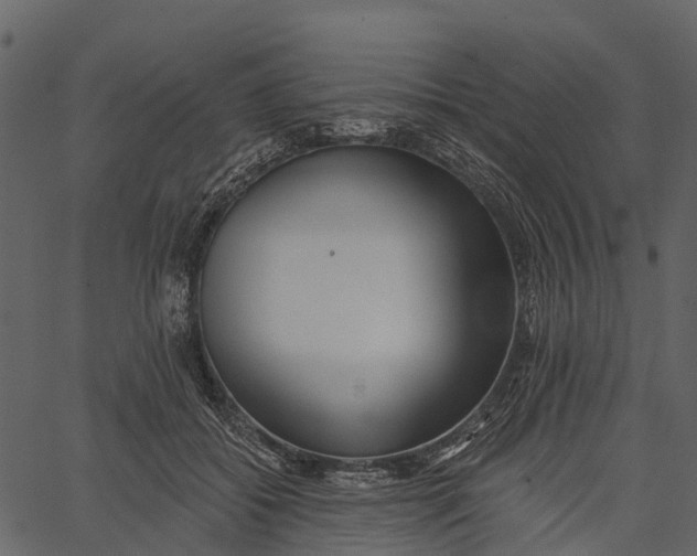 X0000062640556200601111128