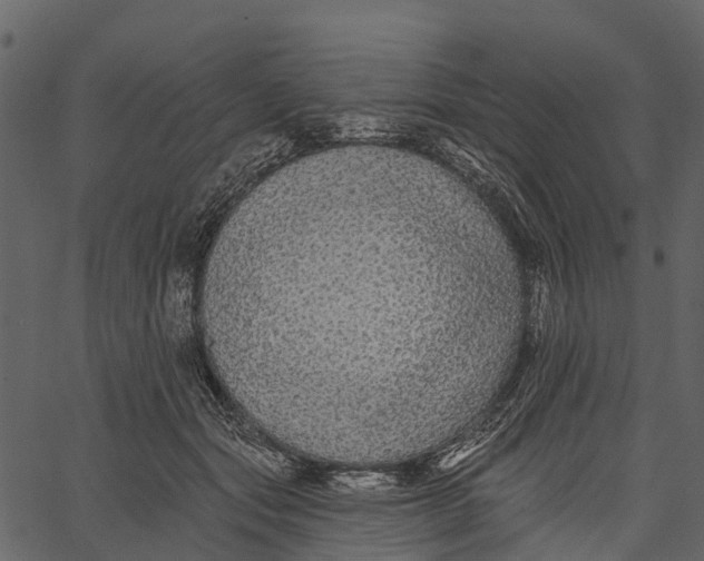 X0000062640557200601111128