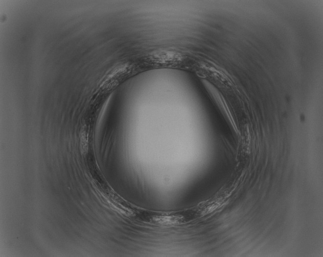 X0000062640558200601111129