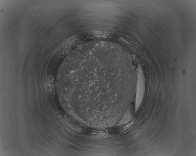 X0000062640559200601111129