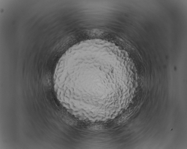 X0000062640561200601111129