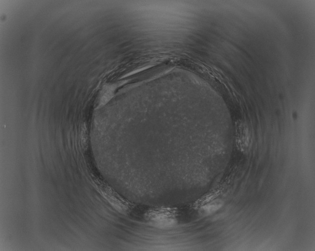 X0000062640563200601111129