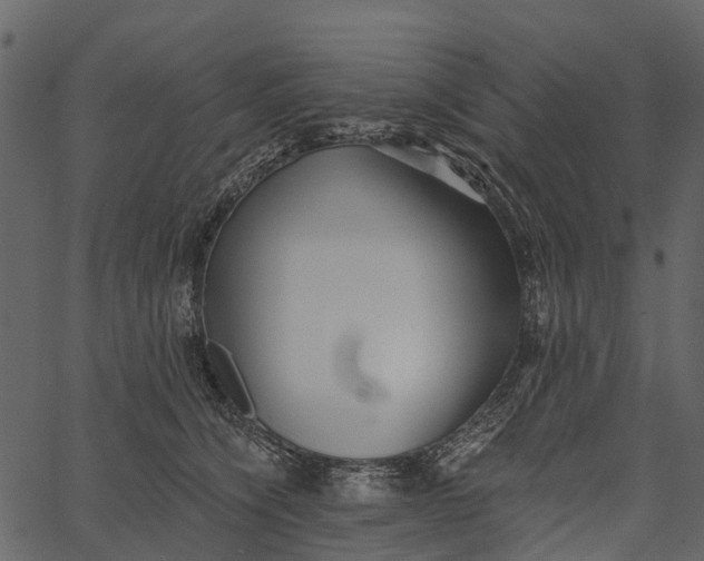 X0000062640564200601111129