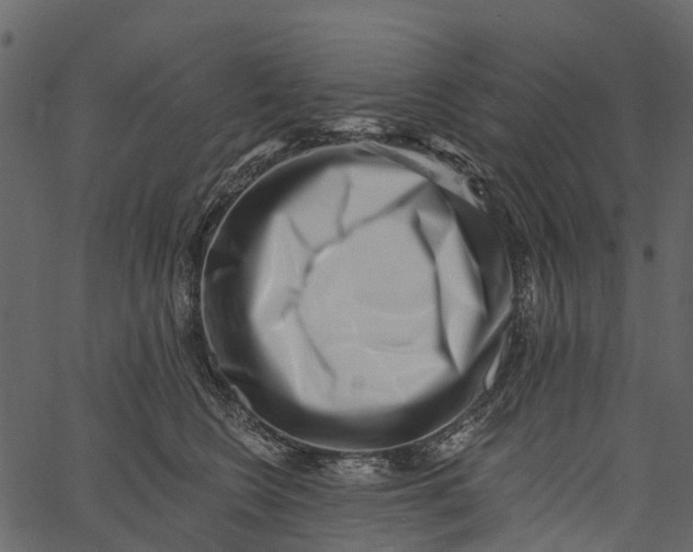 X0000062640566200601111129