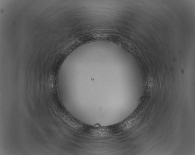 X0000062640567200601111129