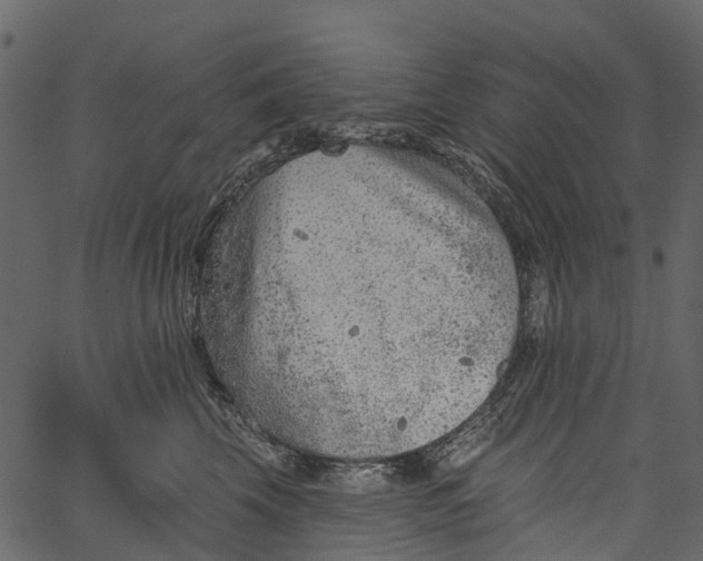 X0000062640569200601111129