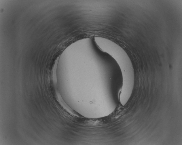 X0000062640570200601111129