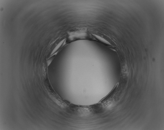 X0000062640572200601111129