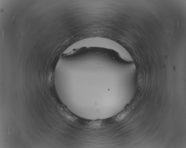 X0000062640574200601111129