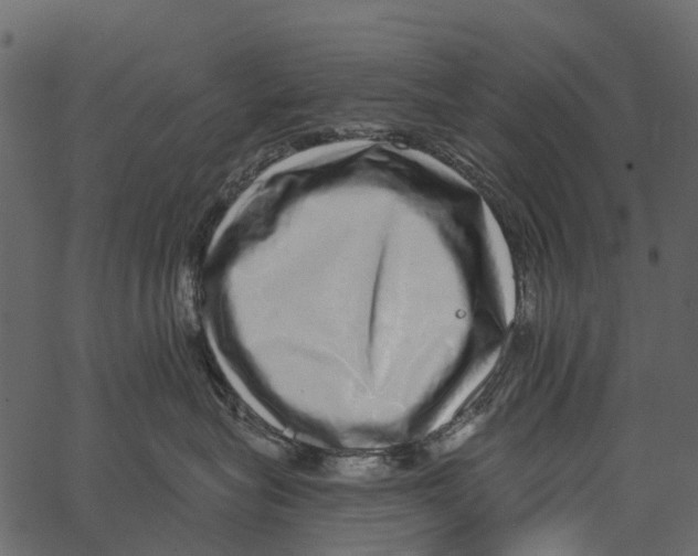 X0000062640575200601111129