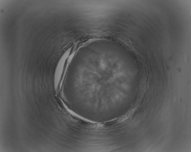 X0000062640576200601111129