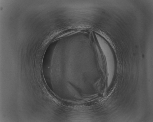 X0000062640577200601111128