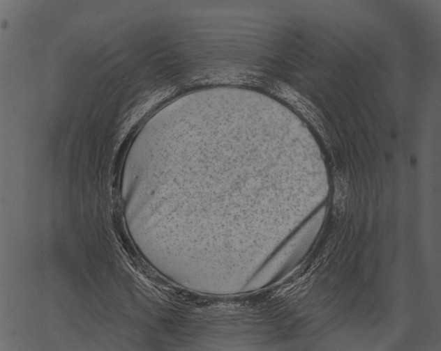 X0000062640578200601111128