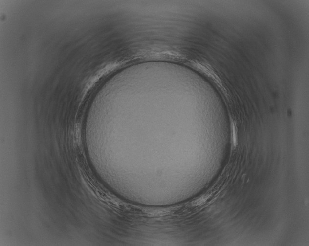 X0000062640579200601111128