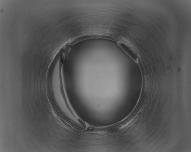 X0000062640580200601111128