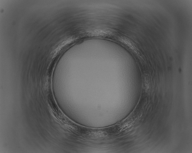 X0000062640583200601111128