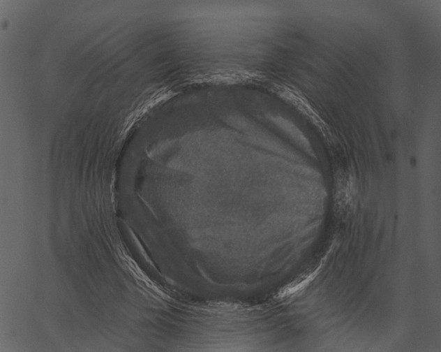 X0000062640585200601111128