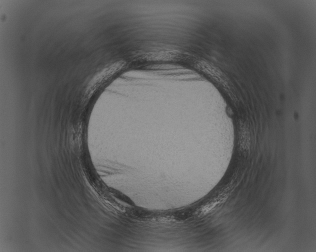 X0000062640586200601111128