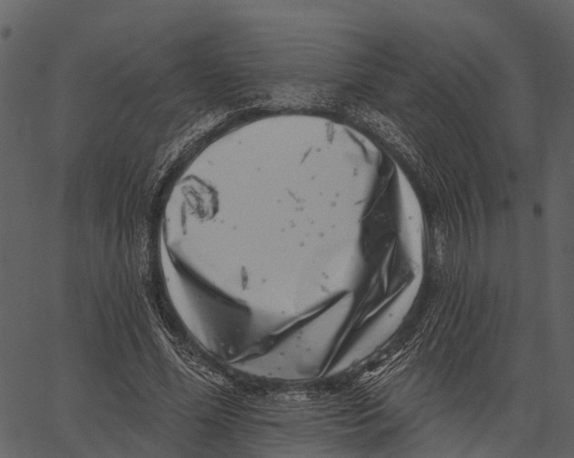 X0000062640588200601111128