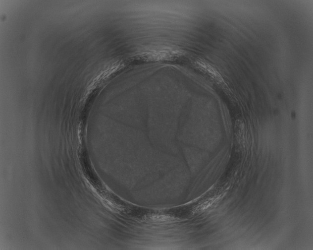 X0000062640590200601111128