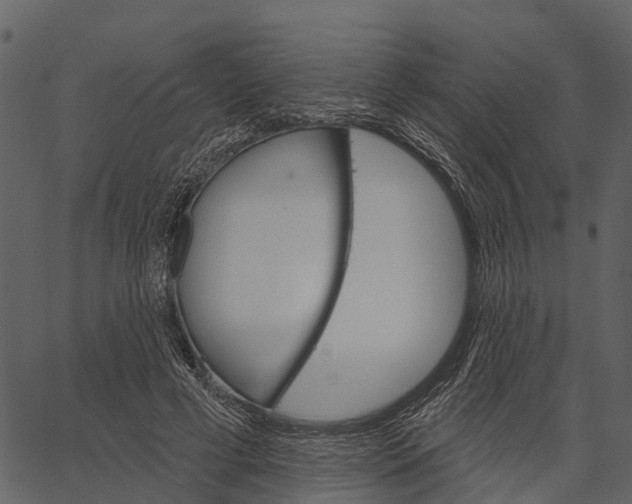 X0000062640593200601111128