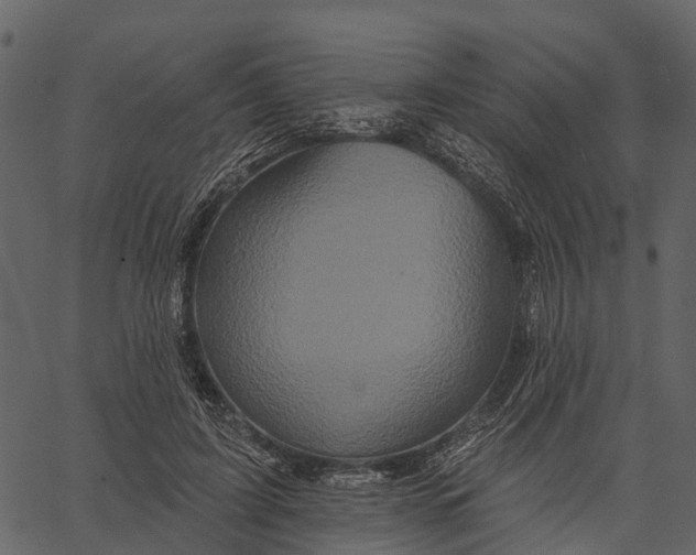 X0000062640595200601111128