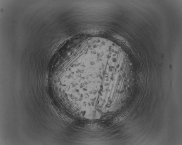 X0000062640596200601111128