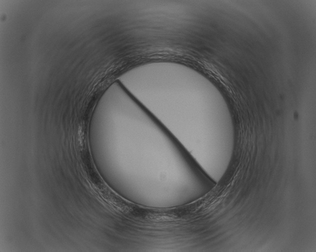 X0000062640597200601111128