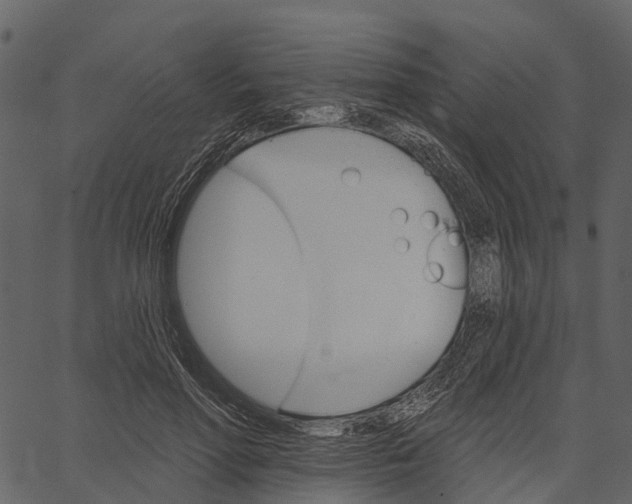 X0000062640598200601111128