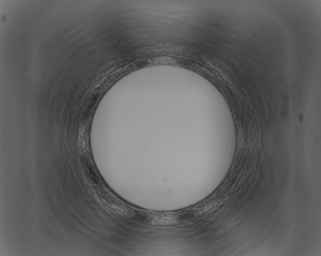 X0000062640599200601111128