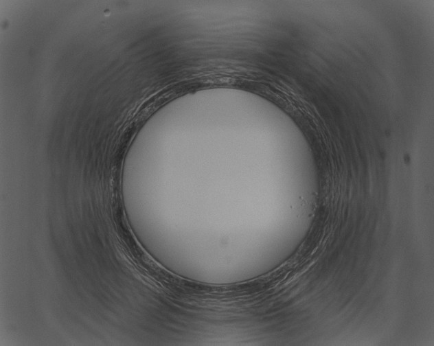 X0000062640600200601111128