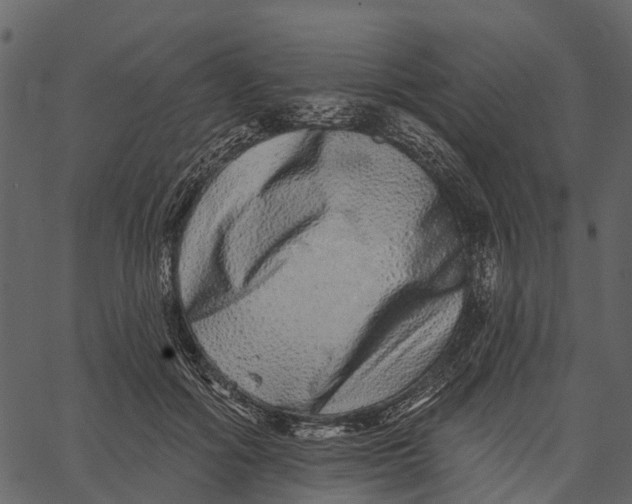 X0000062640602200601111128