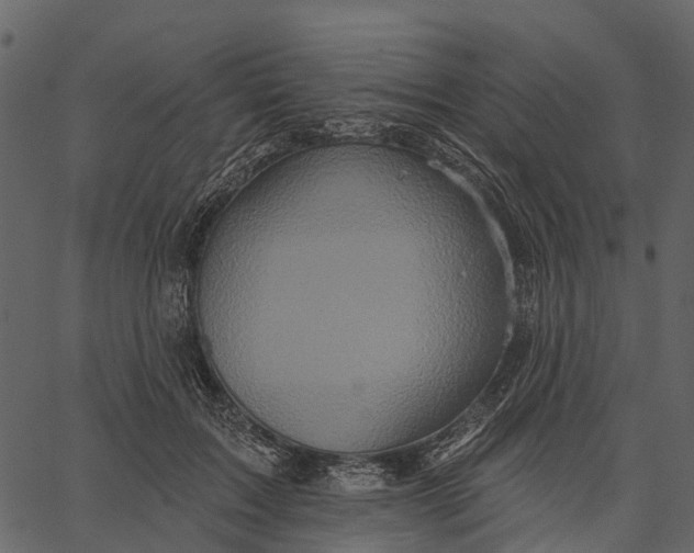 X0000062640603200601111128