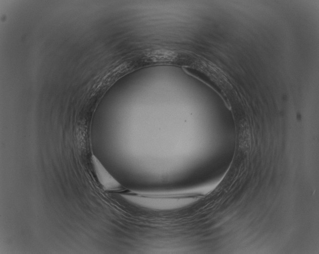 X0000062640604200601111128