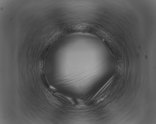 X0000062640605200601111128