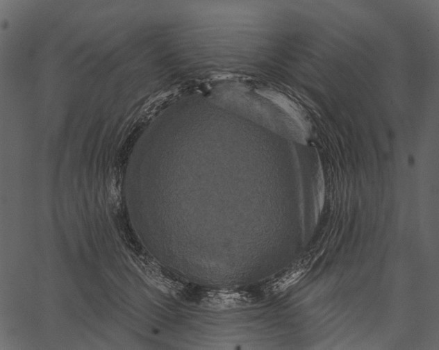 X0000062640607200601111128