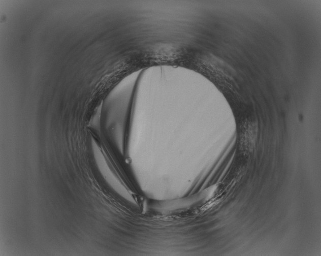 X0000062640608200601111127