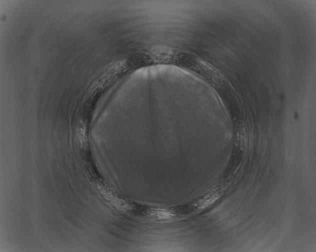 X0000062640610200601111127