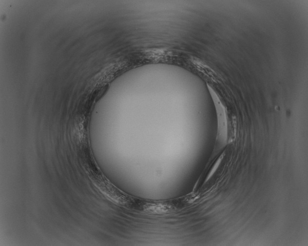 X0000062640611200601111127