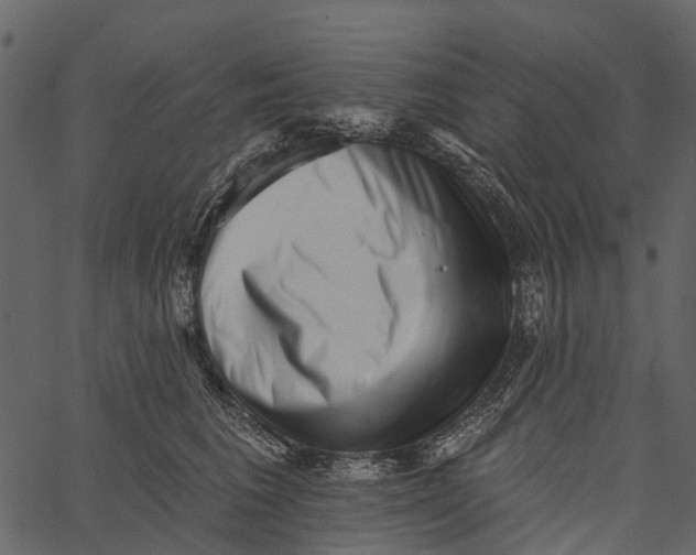 X0000062640613200601111127