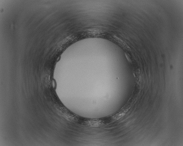 X0000062640615200601111127