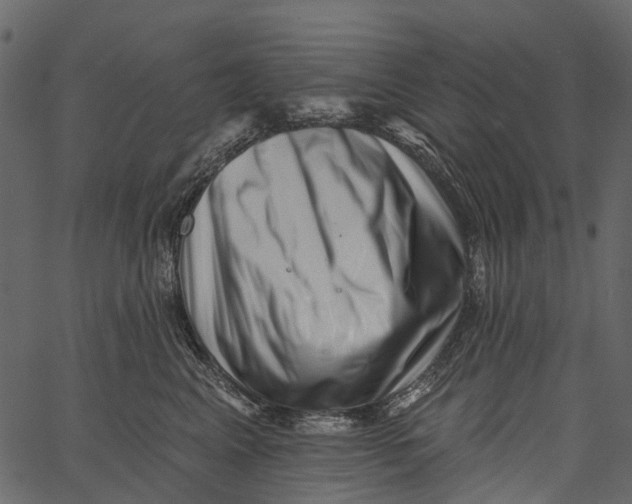 X0000062640617200601111127