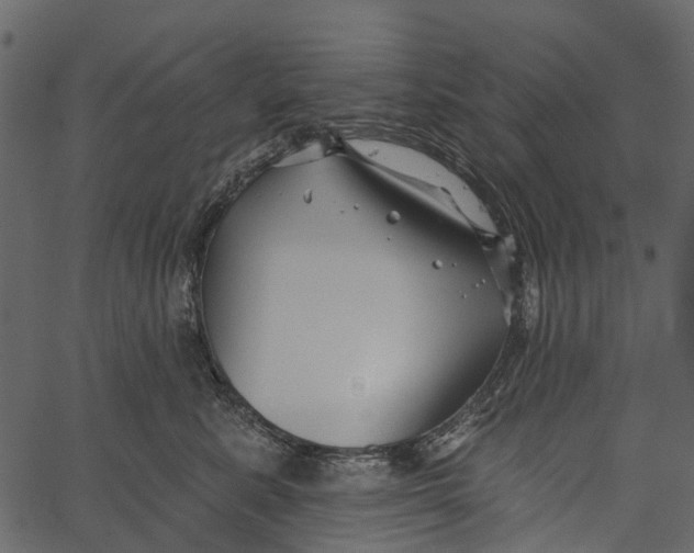 X0000062640619200601111127