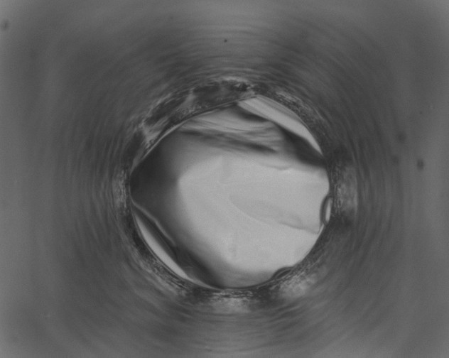 X0000062640620200601111127