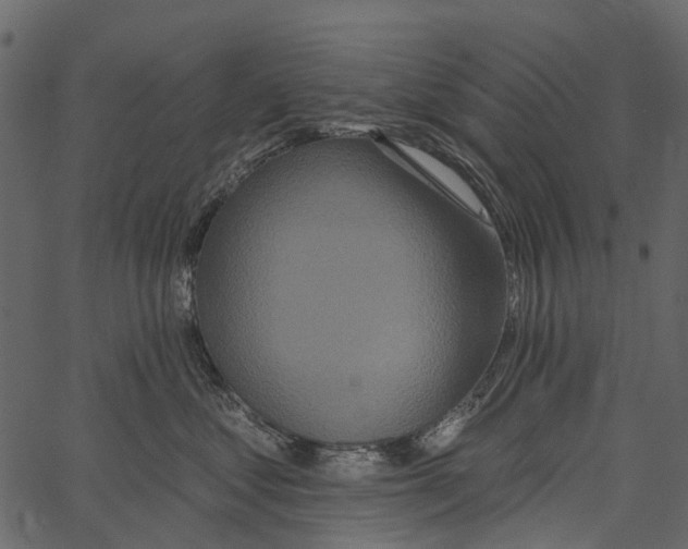 X0000062640621200601111127